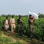 অসম বিধানসভাৰ ১২ অৱসৰপ্ৰাপ্ত কৰ্মচাৰীক অব্যাহতি