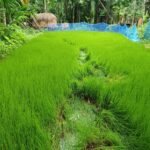 কাইলৈৰ পৰা বন্ধ থাকিব পুৰণি শৰাইঘাট দলং;NEF এ জাৰি কৰিছে নতুন পথ নিৰ্দেশনা